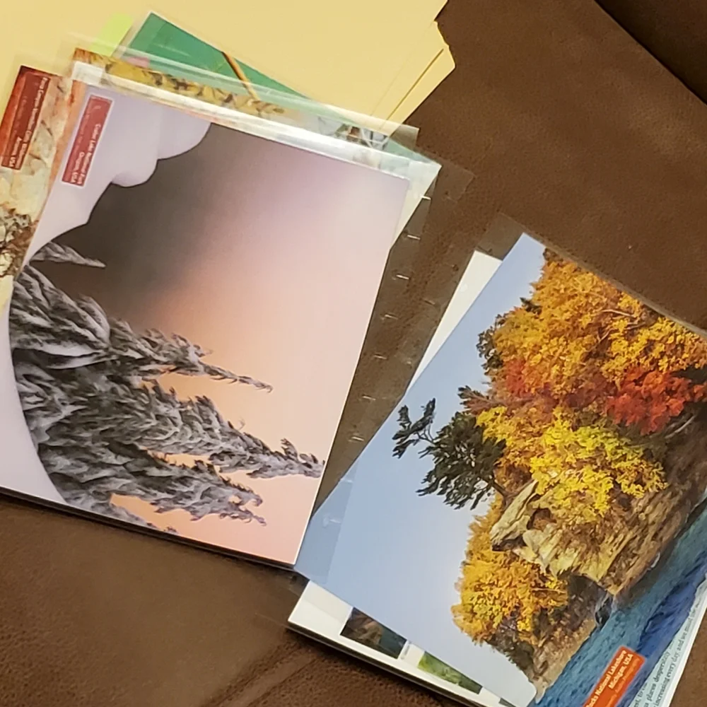 Homemade cover and 5 dashboards/dividers for a classic sized disc bound planner